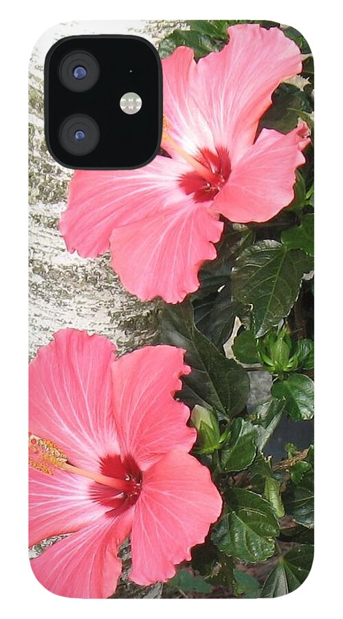 Flowers iPhone 12 Case featuring the photograph Pink Twins by Ed Smith