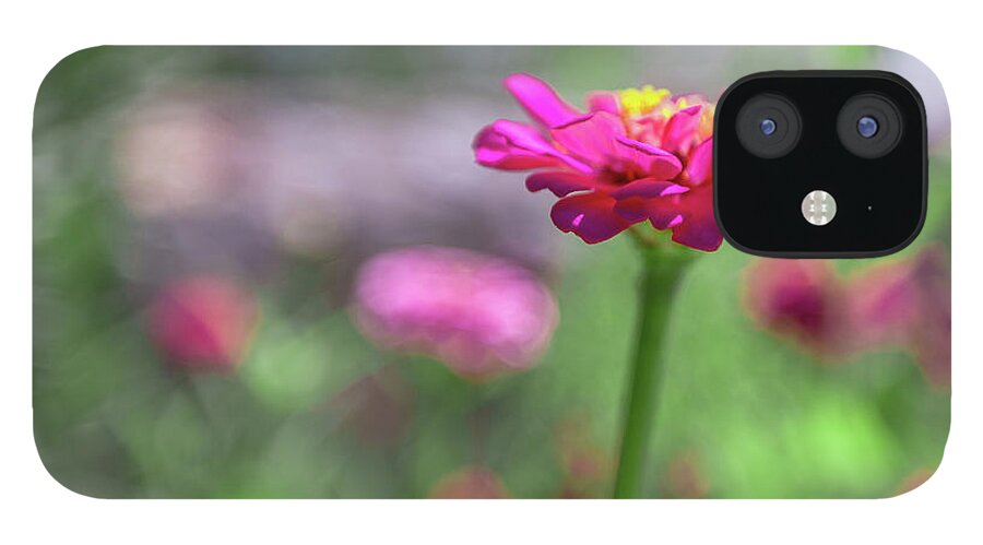 Aperture iPhone 12 Case featuring the photograph Pink Zinnia by SR Green