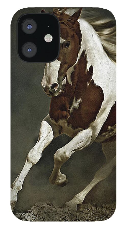 Horse iPhone 12 Case featuring the photograph Pinto Horse in Motion by Dimitar Hristov