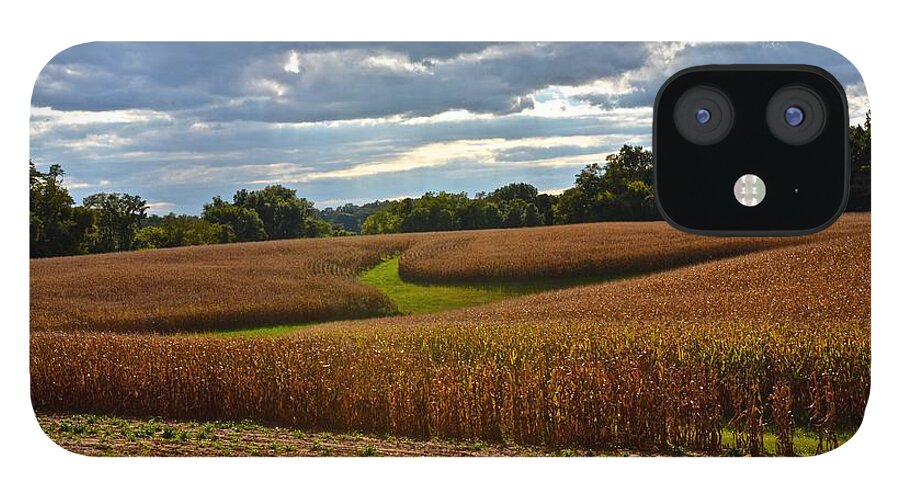 Amish iPhone 12 Case featuring the photograph Pinwheel Cornfield by Tana Reiff