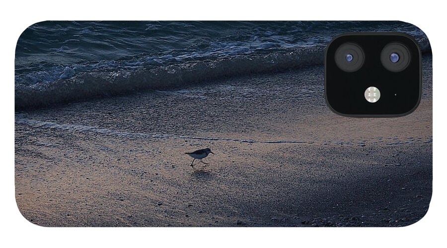 Ocean iPhone 12 Case featuring the photograph Piper At Dusk by Wesley Elsberry