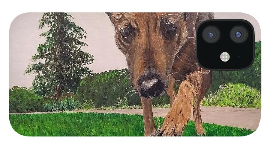 Dog iPhone 12 Case featuring the painting Play With Me by Kevin Daly