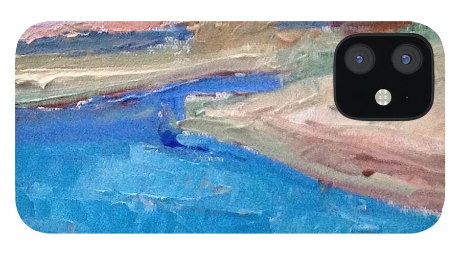Palette Knife Painting iPhone 12 Case featuring the painting Point San Pablo by Suzanne Giuriati Cerny