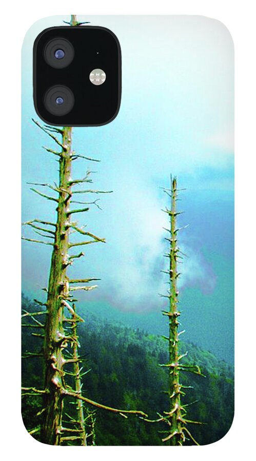 Smokey Mountains iPhone 12 Case featuring the photograph Pokey Mountain Pines by Rod Whyte