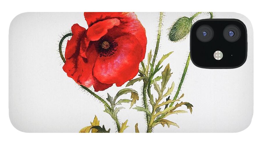 Poppy iPhone 12 Case featuring the painting Poppy by Attila Meszlenyi
