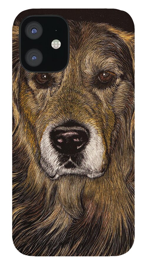 Golden Retriever iPhone 12 Case featuring the photograph Prince of Champions by Margaret Sarah Pardy