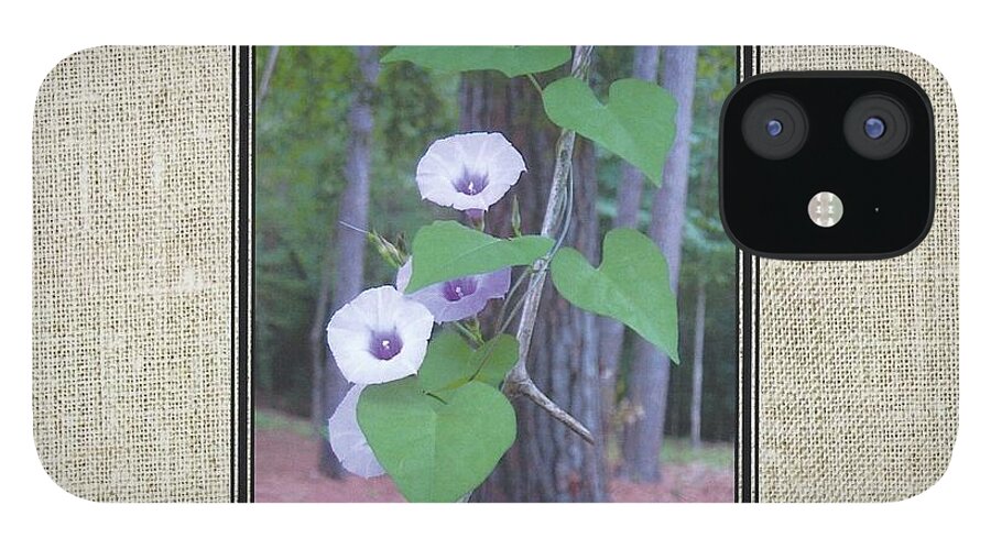 Pineywoods Summer Haiku iPhone 12 Case featuring the photograph PSH cover by Judith Lauter