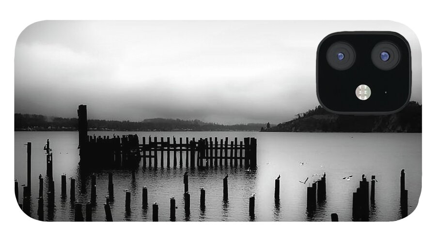 Puget Sound Cold Morning iPhone 12 Case featuring the photograph Puget Sound Cold Morning by Kandy Hurley