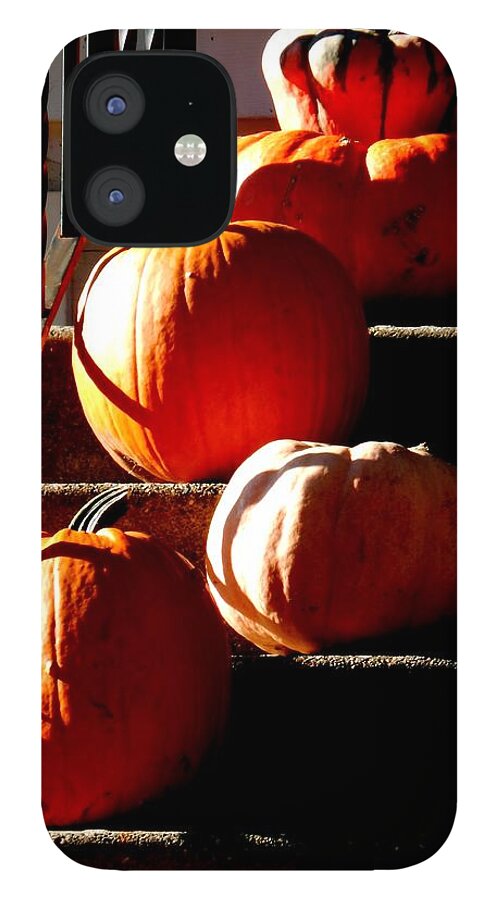 Autumn iPhone 12 Case featuring the photograph Pumpkin Morning by Wild Thing