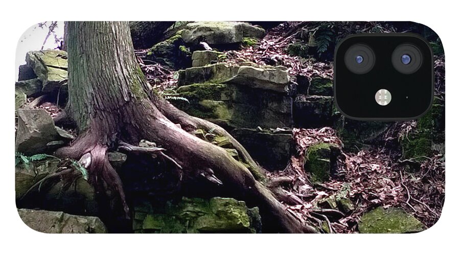 Landscape iPhone 12 Case featuring the photograph Purple Haze by Jean Wolfrum