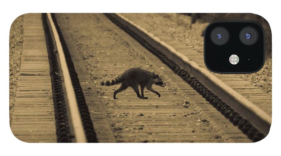 Raccoon iPhone 12 Case featuring the photograph Railroad Bandit by DigiArt Diaries by Vicky B Fuller