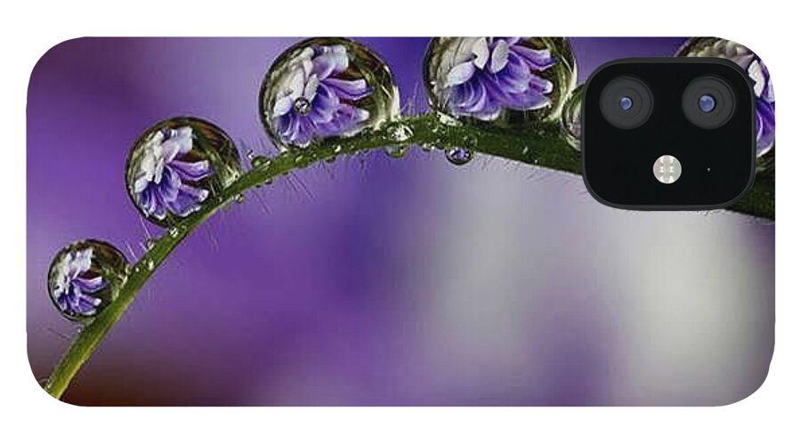 Raindrop Reflections 41 iPhone 12 Case featuring the photograph Raindrop Reflections 41 by Doug Norkum