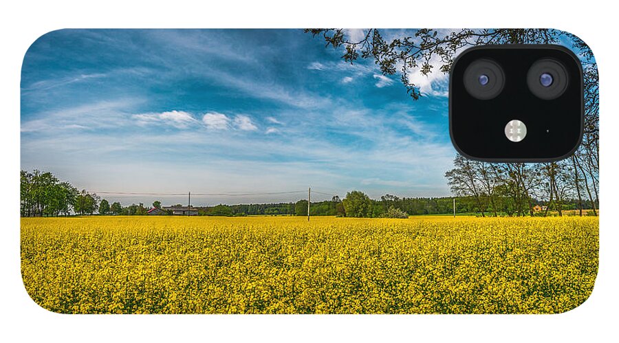 Field iPhone 12 Case featuring the photograph Rapeseed field by Dmytro Korol