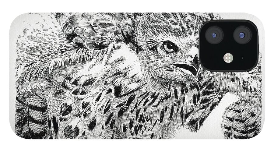 Northern Goshawk iPhone 12 Case featuring the drawing Ready to Fight by Timothy Livingston