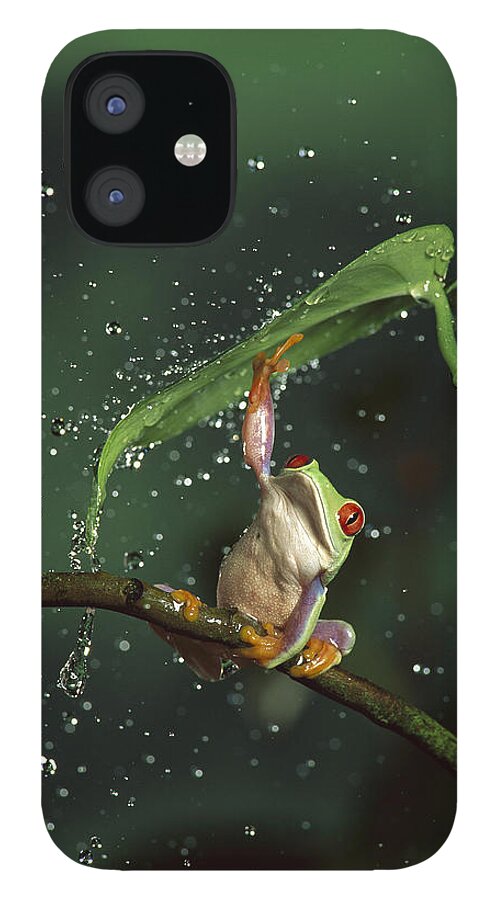 Mp iPhone 12 Case featuring the photograph Red-eyed Tree Frog In The Rain by Michael Durham