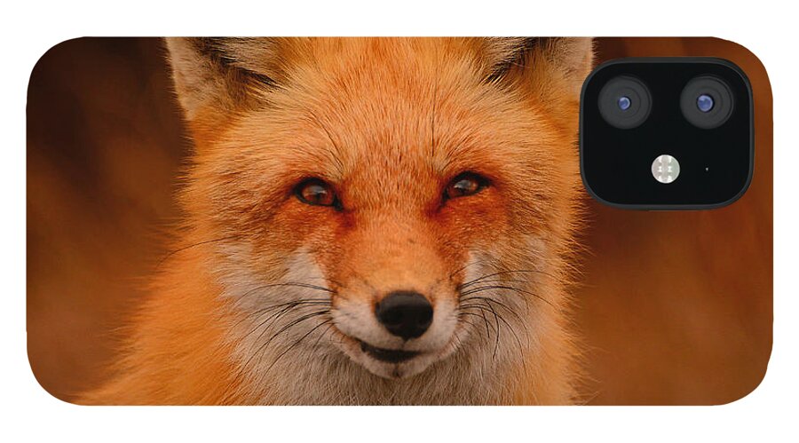 Red Fox iPhone 12 Case featuring the photograph Red Fox by Raymond Salani III