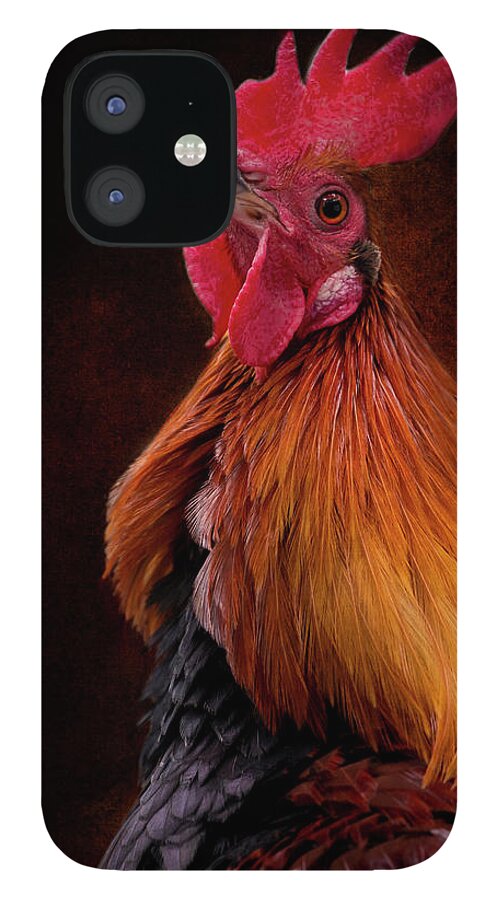 Red Jungle Fowl iPhone 12 Case featuring the photograph Red Jungle Fowl Rooster by Diana Andersen