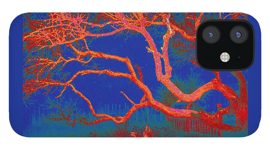 Red iPhone 12 Case featuring the photograph Red Oak Twilight by Larry Beat