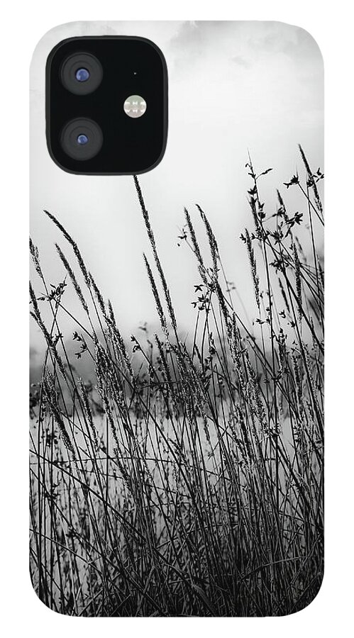 Black And White iPhone 12 Case featuring the digital art Reeds of Black by JGracey Stinson