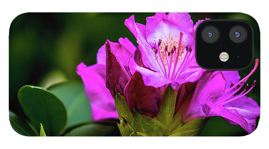 Flower iPhone 12 Case featuring the digital art Rhododendron by Ed Stines