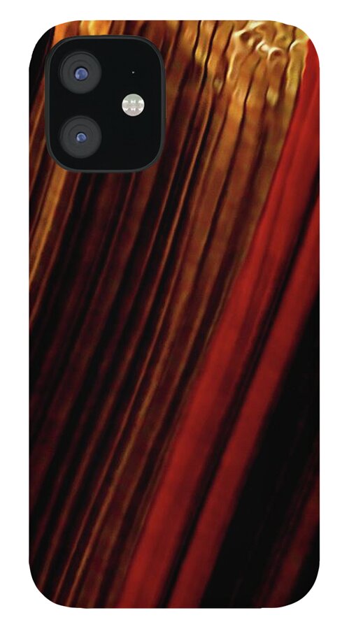 Christmas Light Abstract iPhone 12 Case featuring the photograph Ribbons of Light by Debra Sabeck