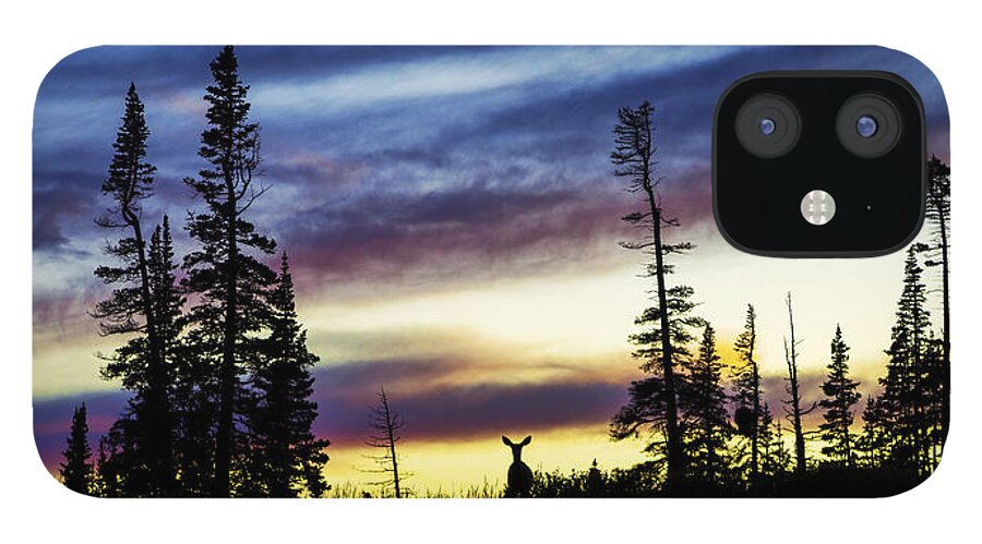 Ridge Silhouette iPhone 12 Case featuring the photograph Ridge Sihouette by Chad Dutson