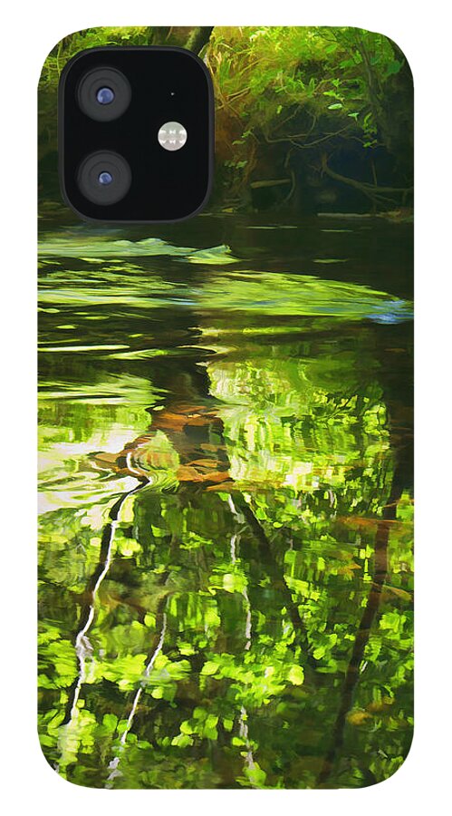 River iPhone 12 Case featuring the photograph River Bovey by Pete Hemington