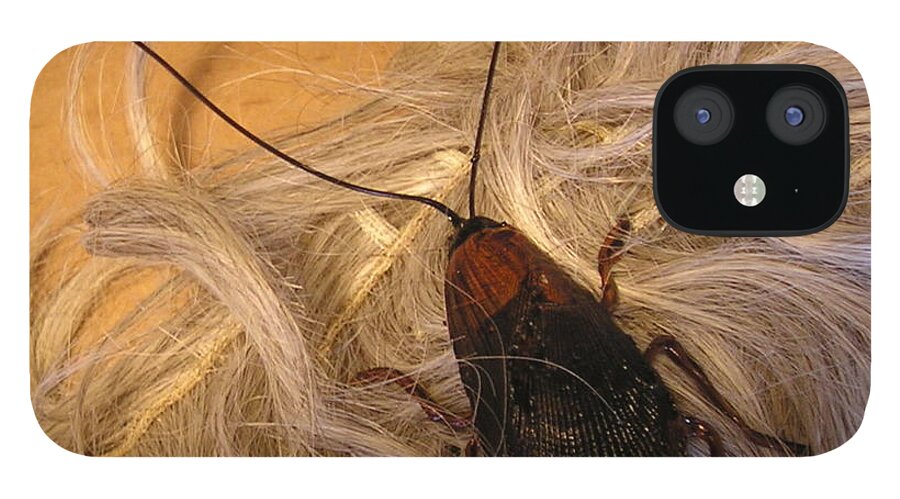 Cockroach Roach Clip Hair Clip - Single Clip