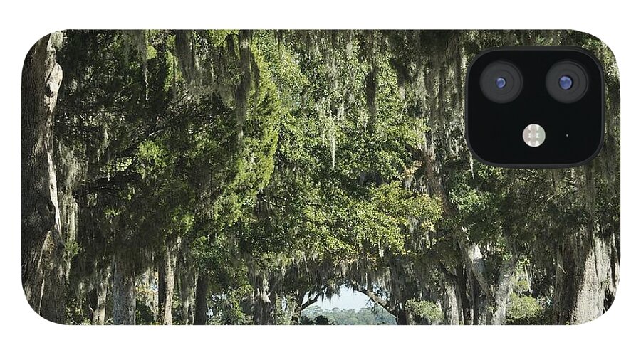 Allee iPhone 12 Case featuring the photograph Road with Live Oaks by Bradford Martin