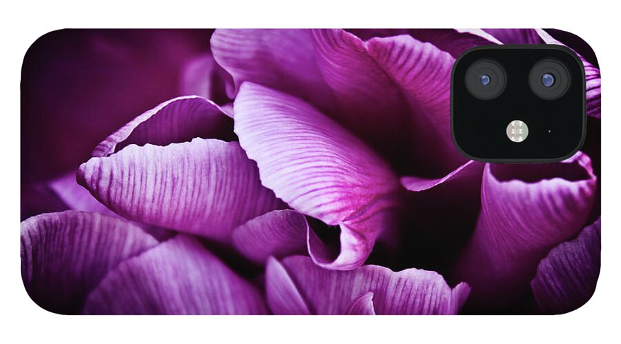 Purple Tulips iPhone 12 Case featuring the photograph Ruffled Edge Tulips by Joann Copeland-Paul