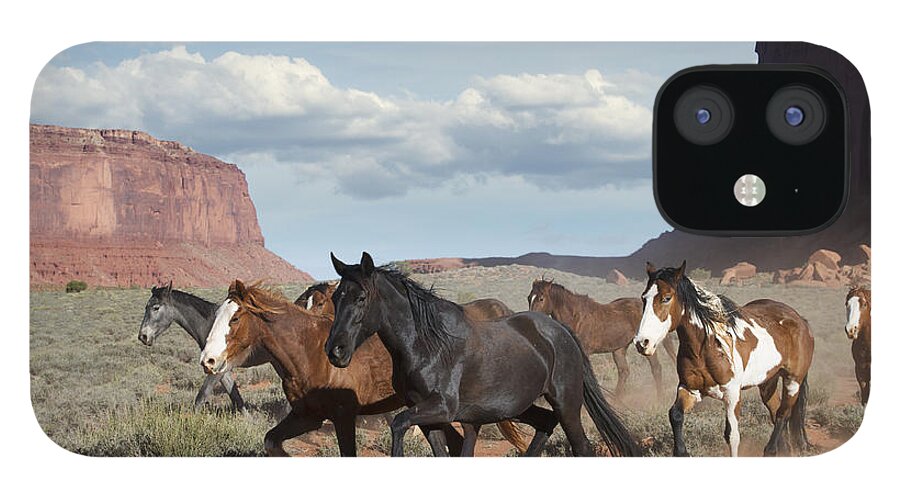 Horses iPhone 12 Case featuring the photograph Running Free by Sandra Bronstein