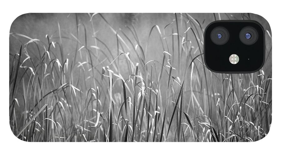 Rushes iPhone 12 Case featuring the photograph Rushes by Mike Evangelist