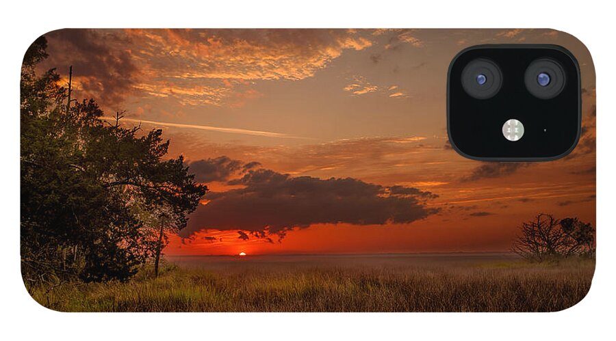Landscape iPhone 12 Case featuring the photograph Saint Simons Island Salt marsh twilight by Chris Bordeleau