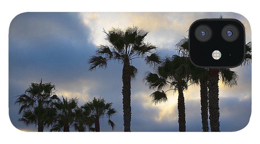 San Diego iPhone 12 Case featuring the photograph San Diego Palm Trees by Matt McDonald