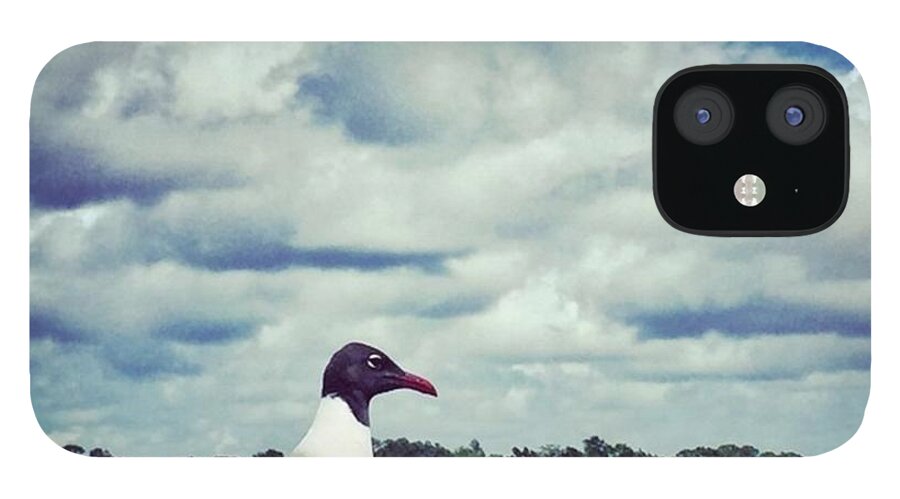 Bayou iPhone 12 Case featuring the photograph Sea Gull #beautifulclouds #bird by Joan McCool