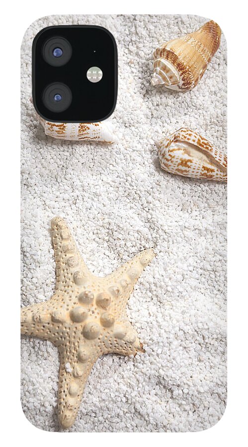 Shell iPhone 12 Case featuring the photograph Sea Shells by Joana Kruse