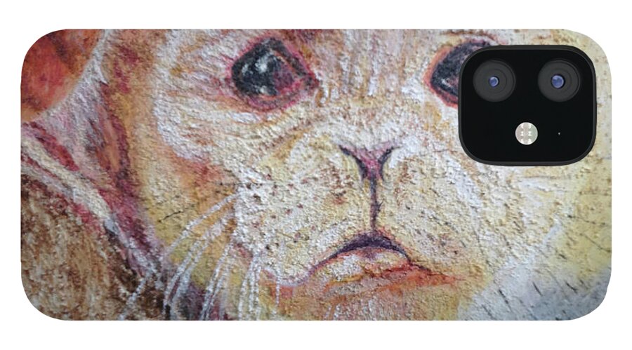 Endangered Species iPhone 12 Case featuring the painting Seal by Toni Willey