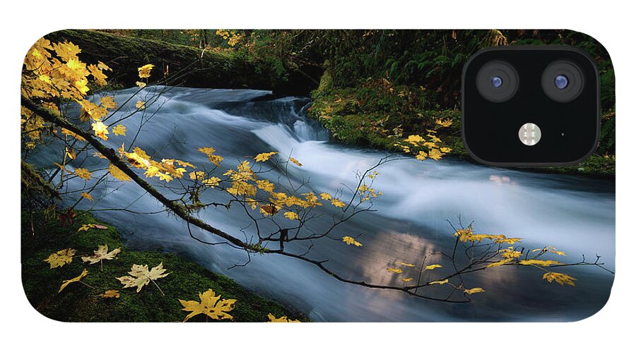 Autumn iPhone 12 Case featuring the photograph Seasonal Tranquility by Andrew Kumler