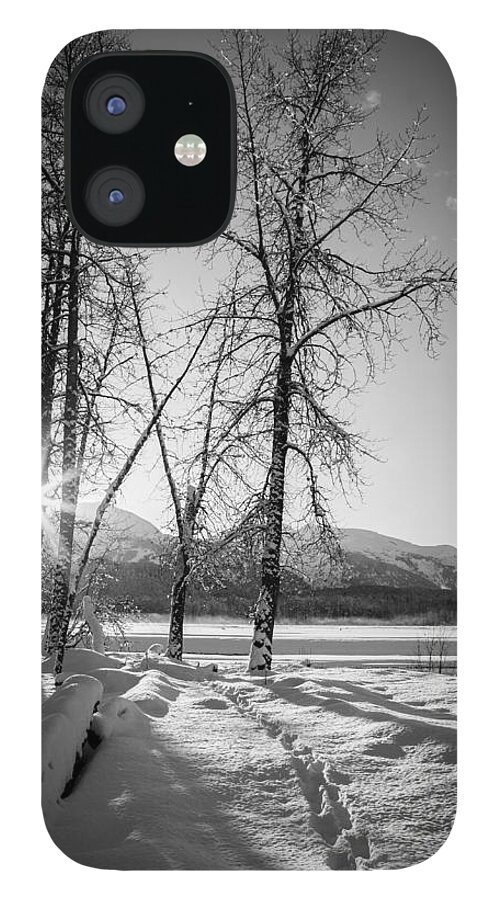 Alaska iPhone 12 Case featuring the photograph Setting Winter Sun by Michele Cornelius