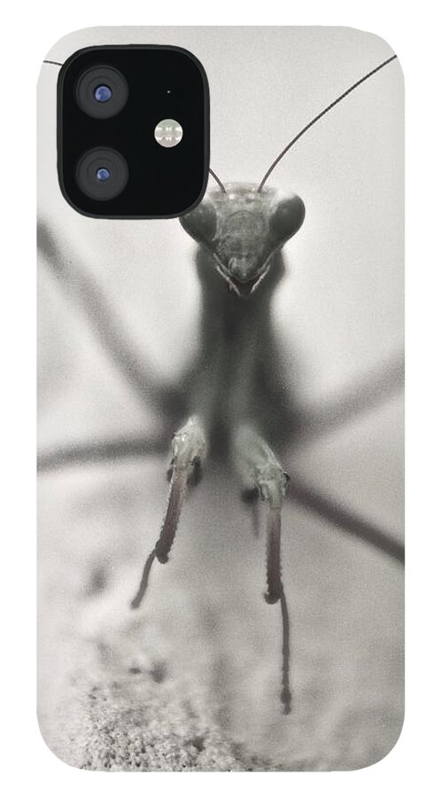 Mantis iPhone 12 Case featuring the photograph Sharp Fangarms by Elisabeth Derichs