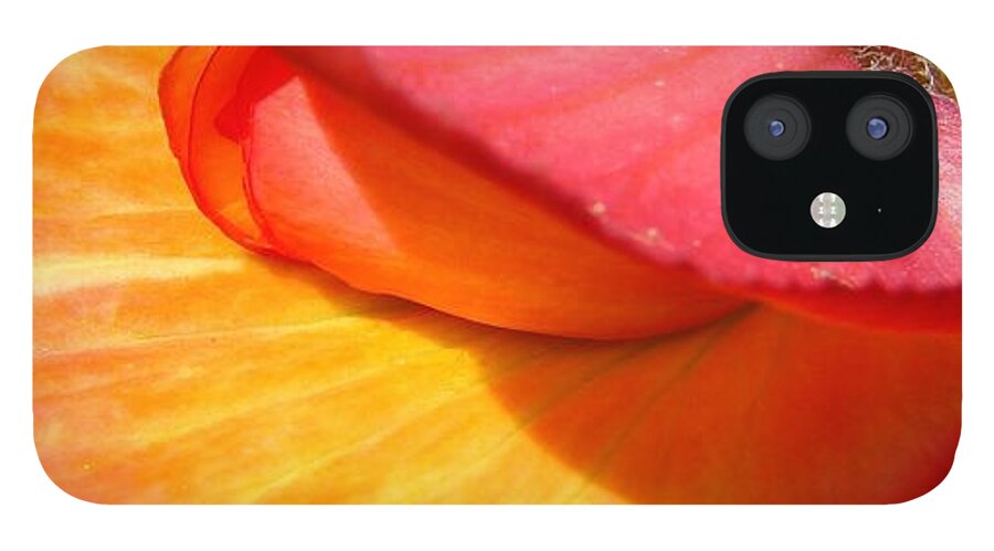 Botany iPhone 12 Case featuring the photograph Shell Flower by Carl Moore