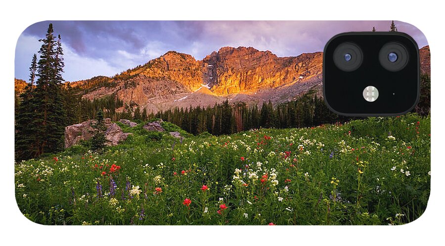 Albion Basin iPhone 12 Case featuring the photograph Silent Stirrings by Emily Dickey