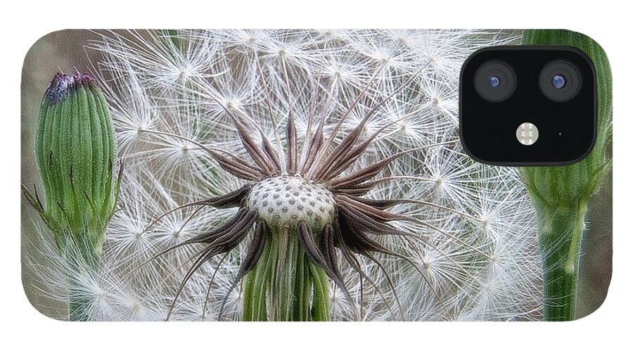 Flower iPhone 12 Case featuring the photograph Slight Breeze by Pete Rems