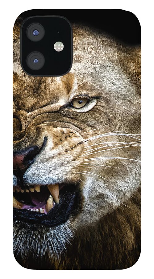 Crystal Yingling iPhone 12 Case featuring the photograph Snarl by Ghostwinds Photography