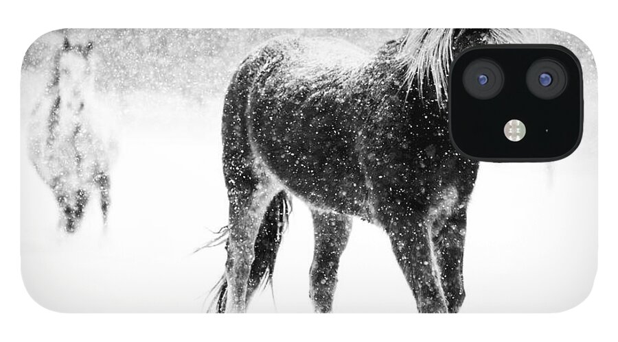 Horse iPhone 12 Case featuring the photograph Snow Dance by Mark Courage