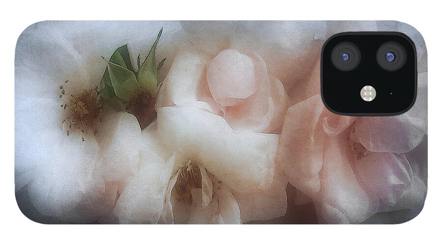 Roses iPhone 12 Case featuring the photograph Soft Pink Roses by Louise Kumpf