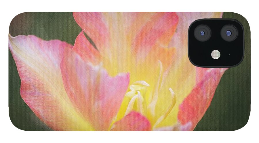 Tulip iPhone 12 Case featuring the photograph Soft Tulip Glow by Teresa Wilson