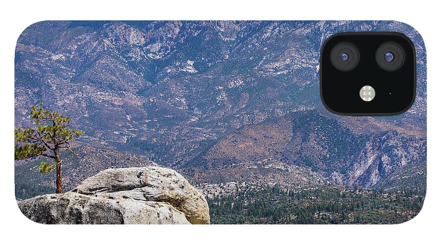 August 2017 iPhone 12 Case featuring the photograph Solitary Pine on Promontory by Jeff Hubbard