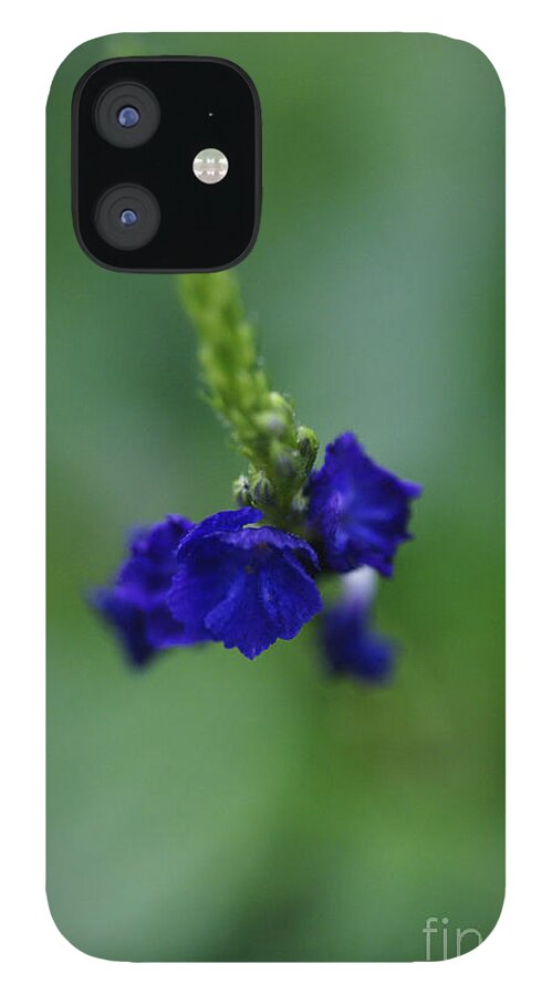 Floral iPhone 12 Case featuring the photograph Somewhere In This Dream by Linda Shafer