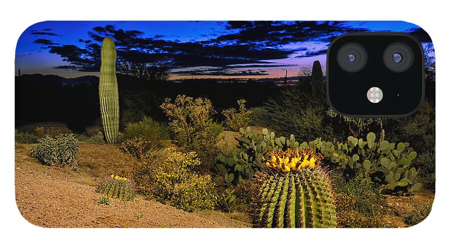 Cactus iPhone 12 Case featuring the photograph Sonoran Twilight by Mark Myhaver